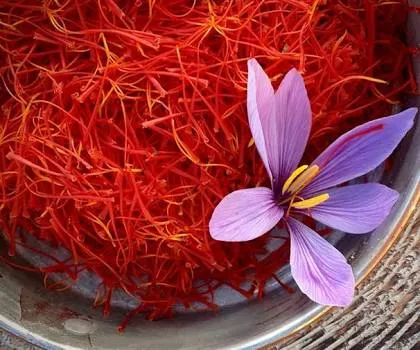 Jafran Irani/ Saffron Zafran (Iranian)